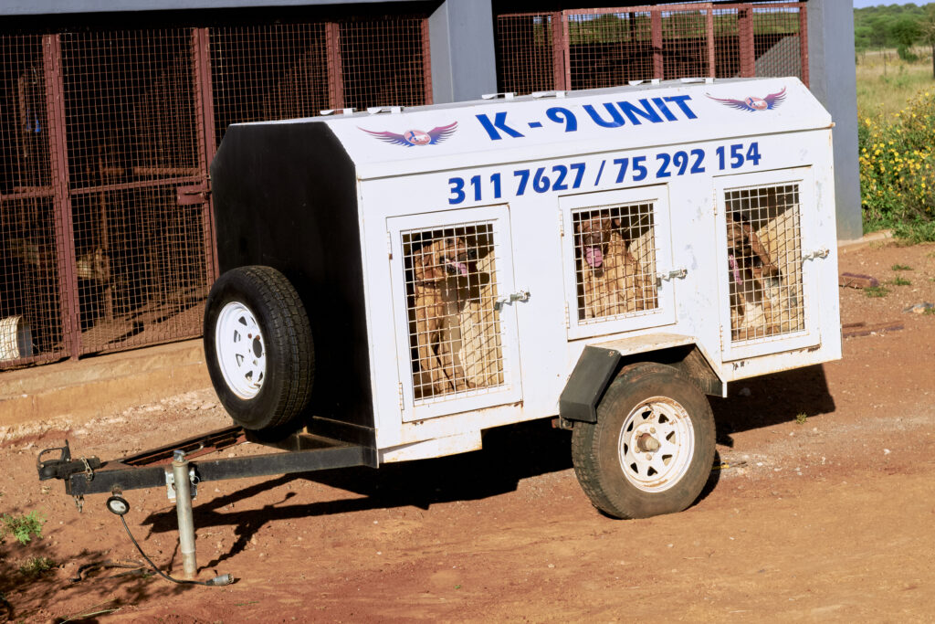 K9 Security Unit Strengthens High-Risk Site Protection